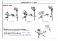 Shower Faucet with Swivel Spout