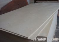 commercial plywood
