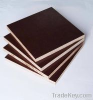brown or black film faced plywood formwork for construction concrete