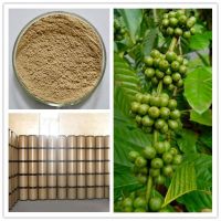Total Chlorogenic Acid 10-70% Chlorogenic Acid 10-50% Natural Green Coffee Bean Extract