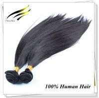 Silky Straight Wholesale 5A Dyeable Malaysian Virgin Hair Outuo Hair