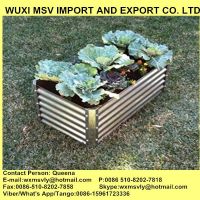 Corrugated Steel Style Raised Garden Bed in Rectangular or Round or Oval