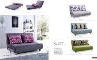 functional sofa leisure sofa bed