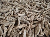 Sea cucumber, dry sea cucumber, dry white teat fish