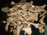 Agar wood Chips