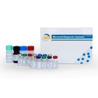 Human Tumor Marker CEA ELISA Test Kit