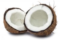 Dedicated Coconut 