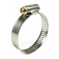 American hose clamp