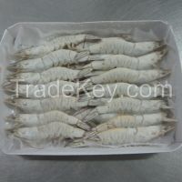 Raw Vannamei Shrimp HOSO semi IQF