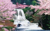 Motion waterfall picture