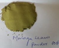 Moringa oleifera Powder 80, 100 Mesh