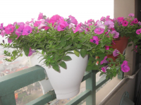 Babylon Flower Pot for handrail