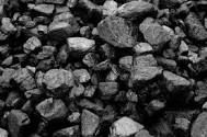 Steam Coal