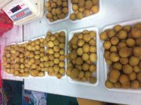 Longan