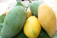 Fresh Mangos