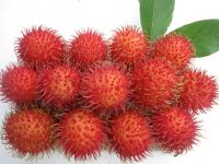 Fresh  Rambutan 