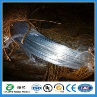 BWG 20 low price electro galvanized iron wire for building wire  Manufacturer