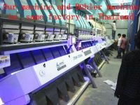Grains machinery for coffee beans color sorter machine with CCD Sensor