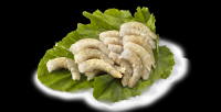 White Shrimp (vannamei)