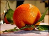 fresh mandarin, celementine