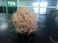 Palm Oil Fiber