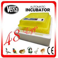 VA-48 Newest Best price Transparent chicken egg incubator for sale