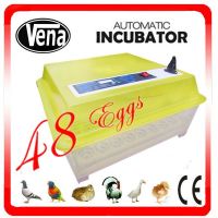 https://es.tradekey.com/product_view/2014-Va-48-Fully-Automatic-Energy-Saving-Transparent-Mini-Chicken-Egg-Incubator-6837098.html