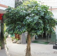 250cm popular artificial banyan tree with good price