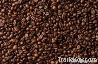 Arabica Coffee Beans