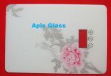 Tempered Glass for Home Appliance with Coloured Printing