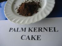 Palm Kernel Cake/Expeller