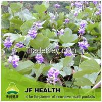 Pueraria Flavonoids - Pueraria Extract