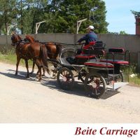Carriage for horse, other horse products