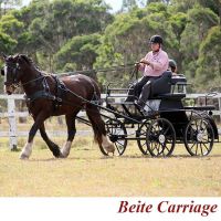 High quality Horse Trailer horse carriage for sale
