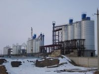 5000T Steel Silo for Cement Storage