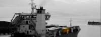 Sea Import Services
