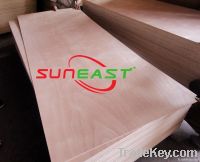 bintangor and okoume commercial plywood for furniture