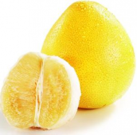 https://www.tradekey.com/product_view/Grapefruit-6938705.html