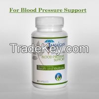 Blood pressure Control Herbal Capsule