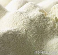 Skimmed Milk Powder