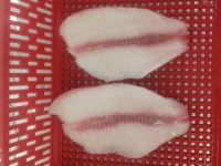 Tilapia Fillet Frozen Food