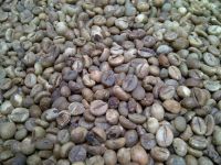 Gayo Robusta Green Beans