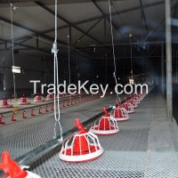 automatic auger feeding line for chicken