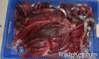 tuna black/blood/waste meat