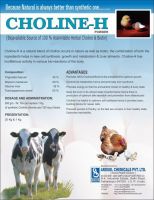 Choline-H Powder/ Liquid