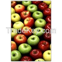 https://jp.tradekey.com/product_view/Fresh-Apples-7550241.html