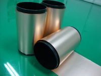 Halogen-free flexible copper clad laminated sheets withour adhesive