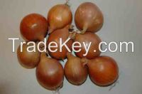 Onions from the Netherlands