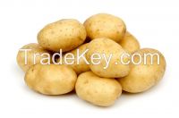 Potatoes from the Netherlands