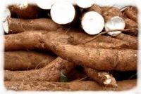 Africa Cassava